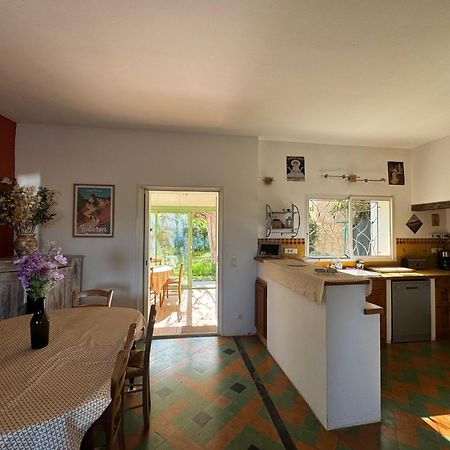 Вилла La Boissetane, Maison Provencale Avec Piscine Et Jardin, Au Pied Du Luberon Saint-Martin-de-Castillon Экстерьер фото