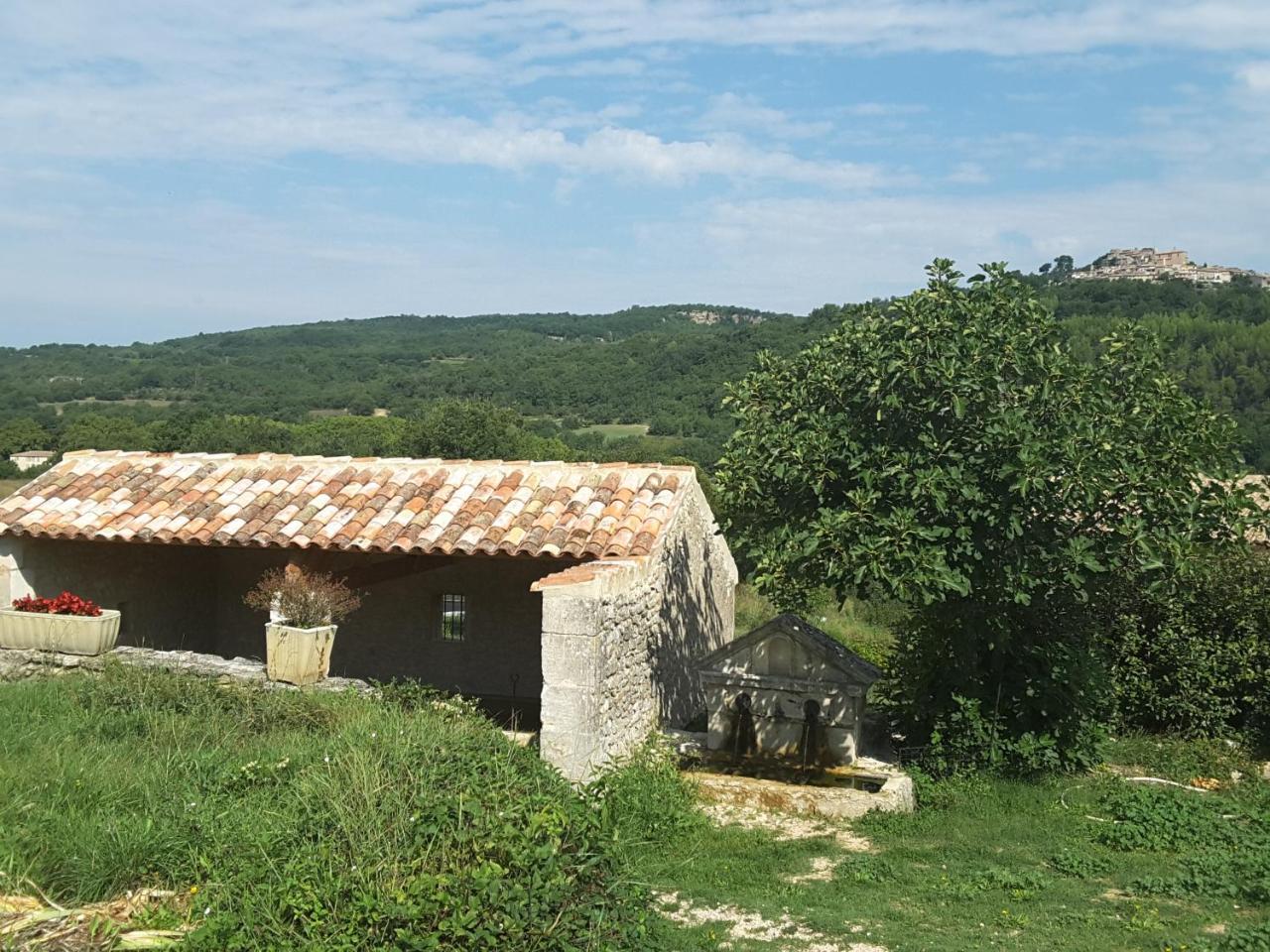 Вилла La Boissetane, Maison Provencale Avec Piscine Et Jardin, Au Pied Du Luberon Saint-Martin-de-Castillon Экстерьер фото